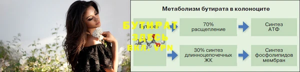 прущие грибы Богданович